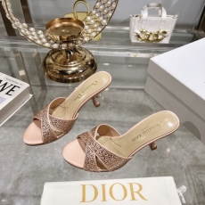 Christian Dior Slippers